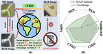 Asymmetric Cross-Modal Knowledge Distillation: Bridging Modalities with Weak Semantic Consistency