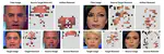 Explaining Deepfake Detection by Analysing Image Matching