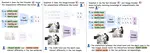 Diagnosing the Compositional Knowledge of Vision Language Models from a Game-Theoretic View
